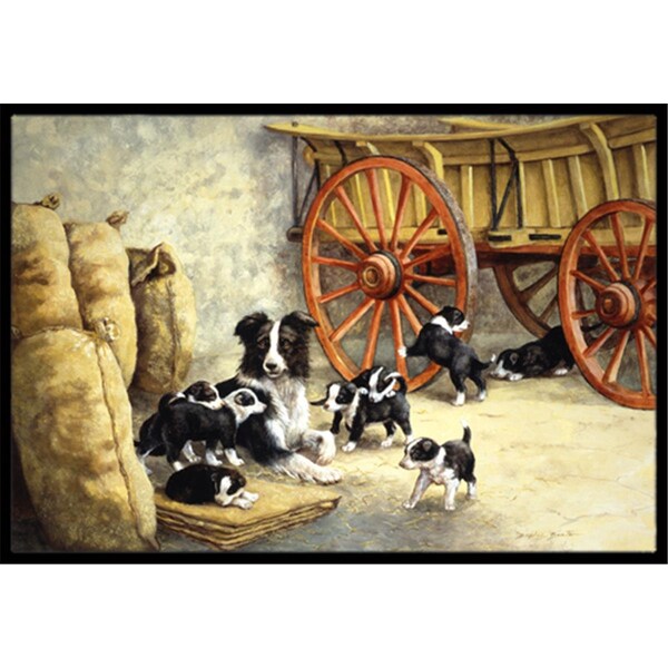 Carolines Treasures Border Collie Dog Litter Indoor or Outdoor Mat- 24 x 36 - BDBA0118JMAT