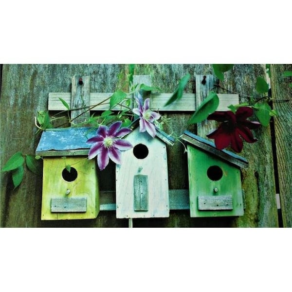 Custom Printed Rugs Custom Printed Rugs DM 68 Bird Houses Non Slip Indoor Door Mat; 27 x 18 in. - DM  68