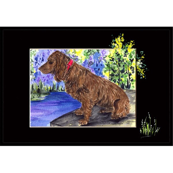 Carolines Treasures Boykin Spaniel Indoor Or Outdoor Doormat - 24 x 36 in. - SS8065JMAT