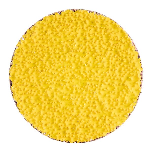 Norton Abrasives Quick-Change Cloth Disc, Coarse, Dia. 2 - 66254427835