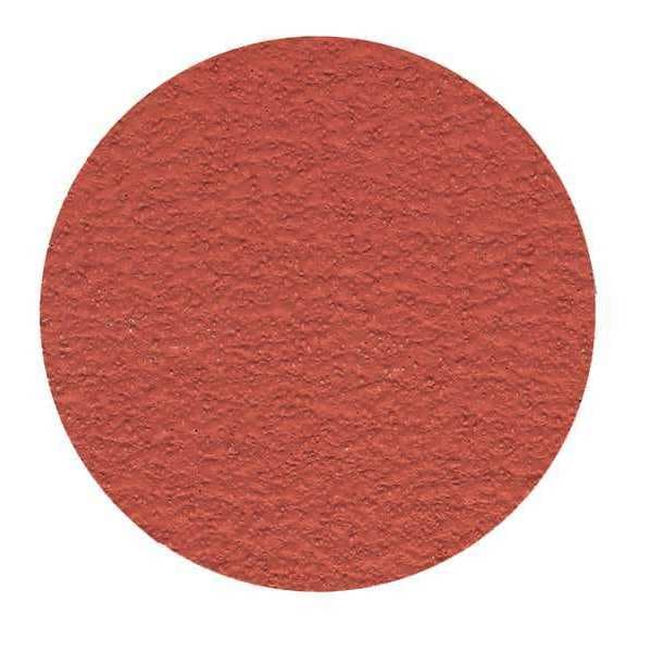 Superior Abrasives Coated PSA Disc, Ceramic GA, 12", Grit 50 - A020145
