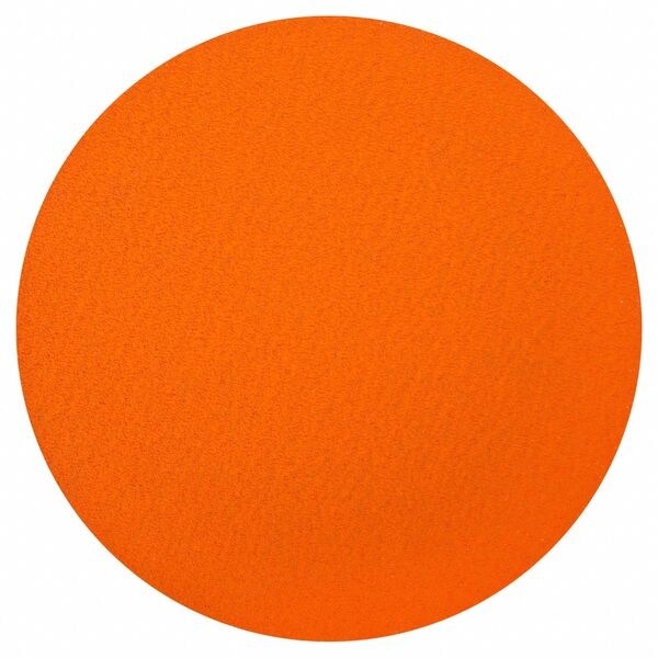 Norton Abrasives Sanding Disc, Abrasive Ceramic, 12" dia - 66254416172