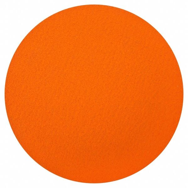 Norton Abrasives Sanding Disc, Abrasive Ceramic, 12" dia - 66254416171