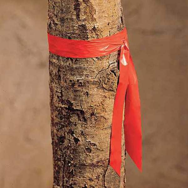 Zoro Select Flagging Tape, No Legend, Red, 1 in Wide x 300 ft Length, Vinyl, 2.5 mil - TF1R-200