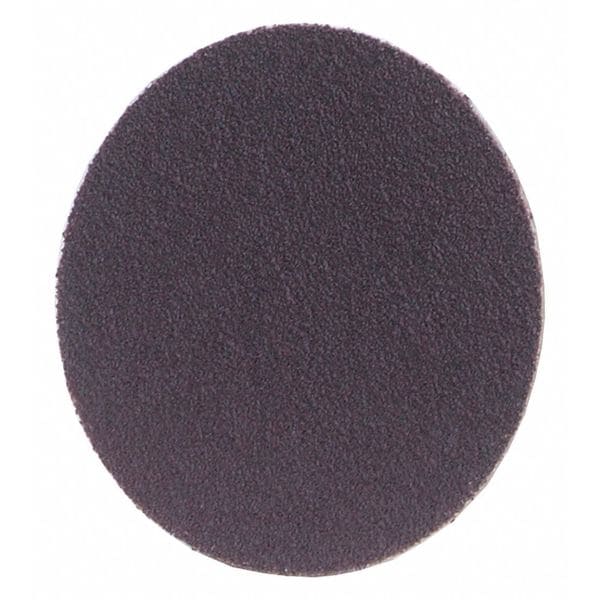 Zoro Select PSA Sanding Disc, Coated, 1" dia., 100 Grit - 08834171134