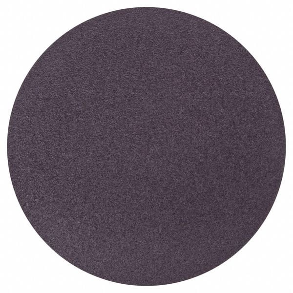 Norton Abrasives Sanding Disc, Aluminum Oxide, 10" dia - 66261136600