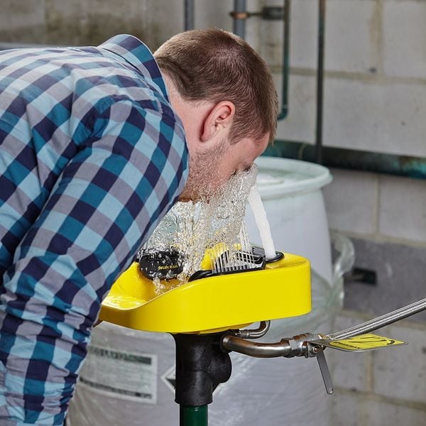 Speakman Eye/Face Wash Station, Floor Mounted, 41.63 H., 14.94 W - SE-1100