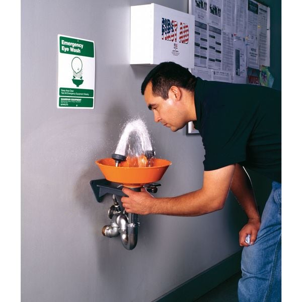Guardian Equipment Plumbed Eyewash, Wall Mount, Plumbed, 6 11/12 in H., 15 2/3 in W - G1750P