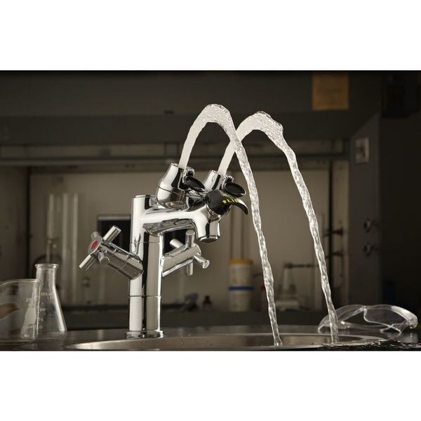 Speakman Eyewash/Faucet Combination, Faucet Mount, Counter Mounted, 8.0 H., 7.63 W - SEF-1850