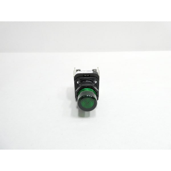 Allen Bradley BOTÓN PULSADOR ILUMINADO VERDE 120V-CA - 800H-QRBH10GAP