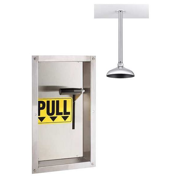 Speakman Emerg Shwr, Recessed, Brass Shwr Hd, 10 in - SE-238