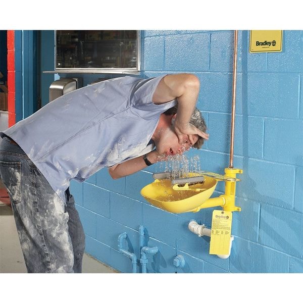 Bradley Plumbed Eyewash, Wall Mount, Plumbed, 14 2/3 in H., 15 1/2 in W - S19224EW