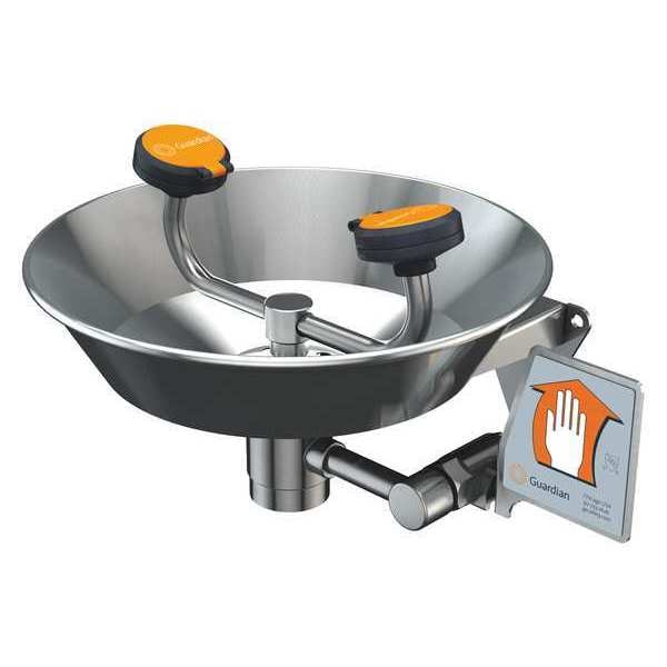 Guardian Equipment Plumbed Eyewash, Wall Mount, Plumbed, 6 11/12 in H., 15 2/3 in W - G1781