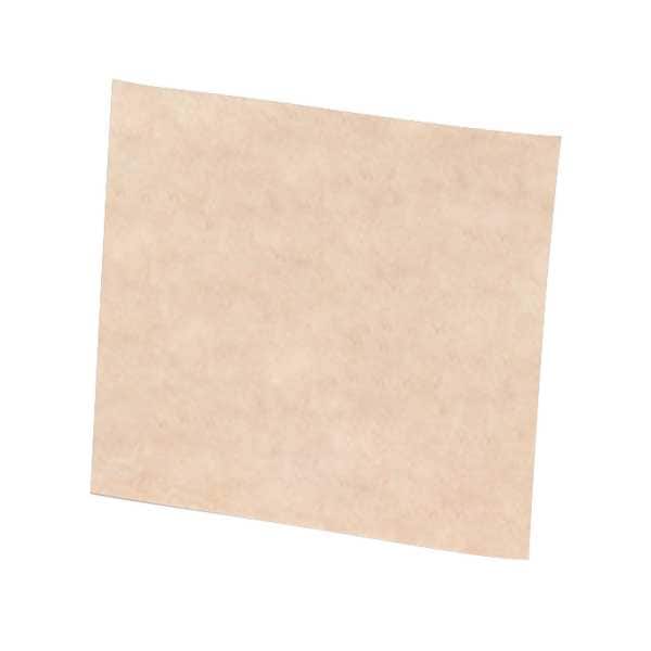 Scotch-Brite Sanding Sheet, 9x6 In, T G, Talc, PK50 - 61500121399