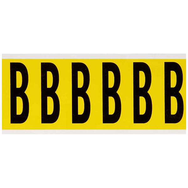 Brady Letter Label, B, 1-1/2 in. W x 3-1/2 in. H - 3450-B