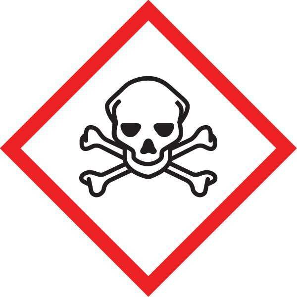 Accuform Label, Skull, 2x2 In, Ctd Paper, 250 Roll - LZH616PS2