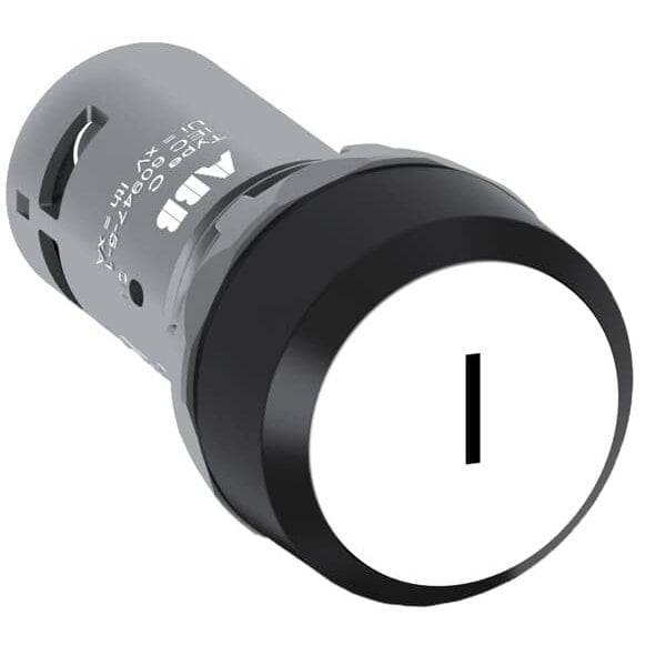 Abb CP1110W-10, CP PB FLSH WHT MARKED I, PK 10 - CP1110W-10

Abb CP1110W-10, CP PB FLSH WHT MARKED I, PK 10 - CP1110W-10