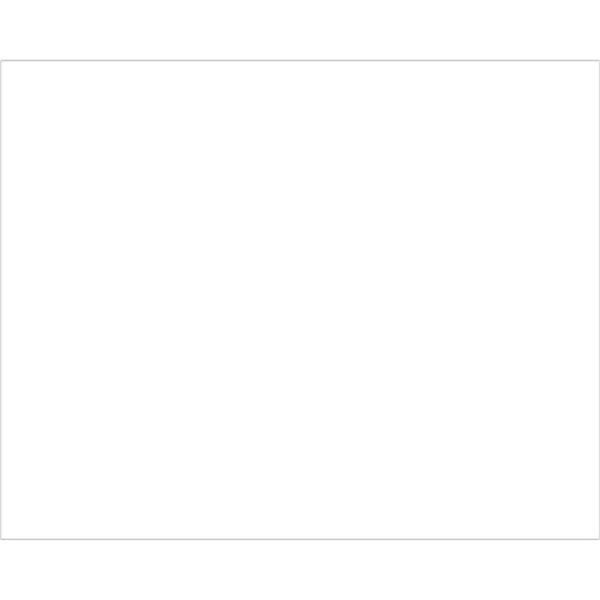 Bondad 8 x 10 in. - White Block Out Labels, White - Roll of 250 - BO2833479