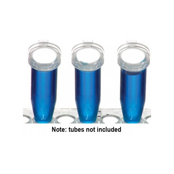 Diversified Biotech Direct Therml Cryo-Spot, 3/8", White, 4000/rl - 249403