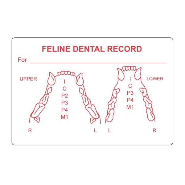Nevs Feline Dental Record 2" x 3" White w/Red - VW-0063