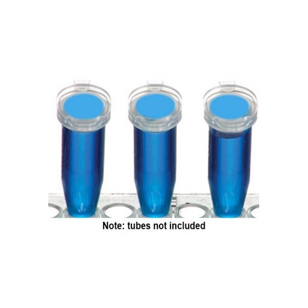 Diversified Biotech Direct Therml Cryo-Spot, 3/8", Blue, 4000/rl - 249403B