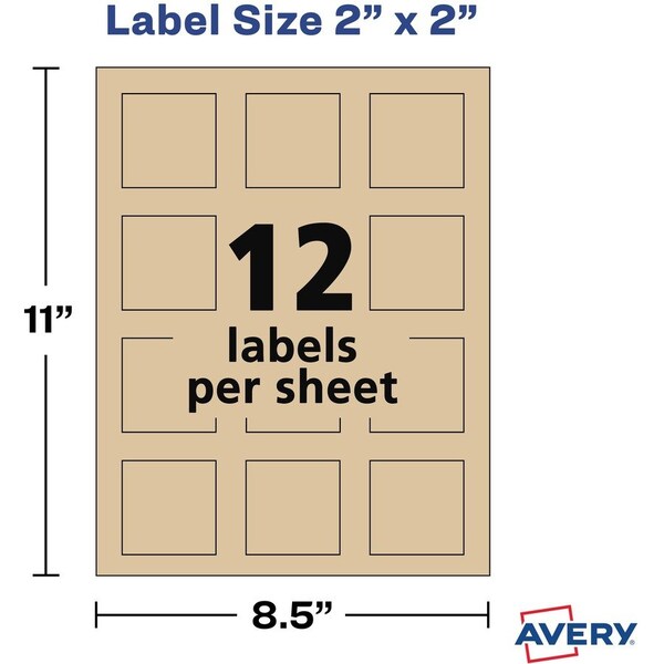 Avery Label, Square, Trublk, Brn, 300 300PK - AVE22846