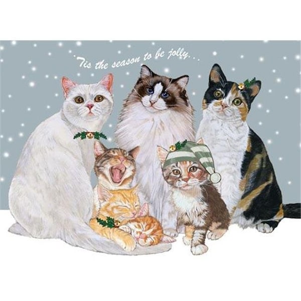 Pipsqueak Productions Pipsqueak Productions C529 Cat Holiday Boxed Cards - C529