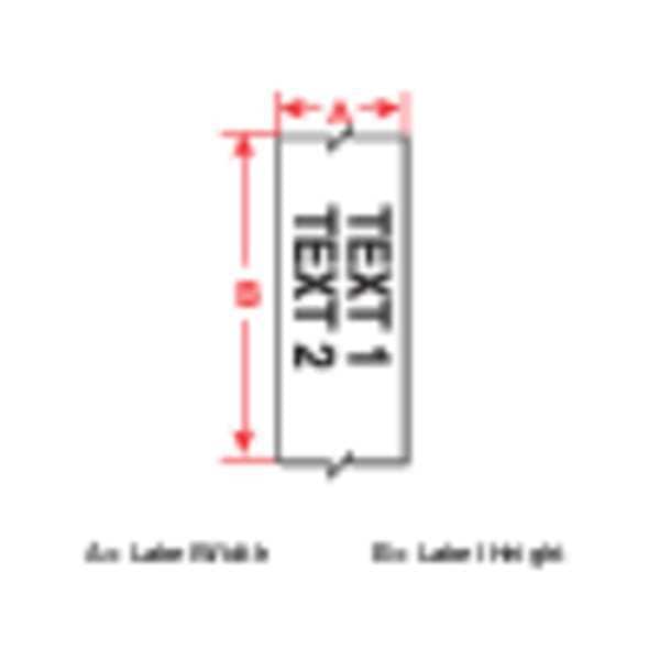 Brady Label Tape Cartridge, Clear, Labels/Roll: Continuous - B30C-4000-432