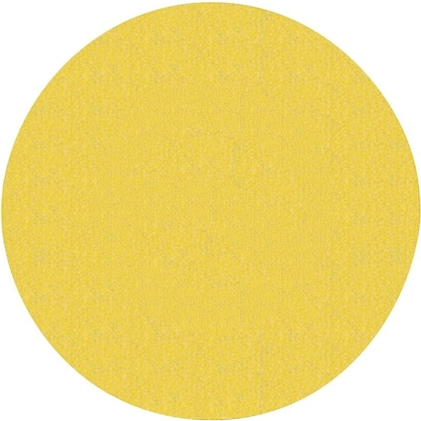 Norton Co 0 Sanding Disc, 9 in Dia, Coated, P120 Grit, Fine, Aluminum Oxide Abrasive - 2464