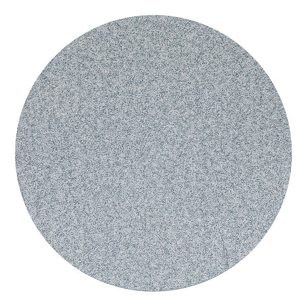 Norton Abrasives Hook-and-Loop Sanding Disc, Ceramic, P500 Grit, Coated Type, Dry Ice A975 - 66254480233