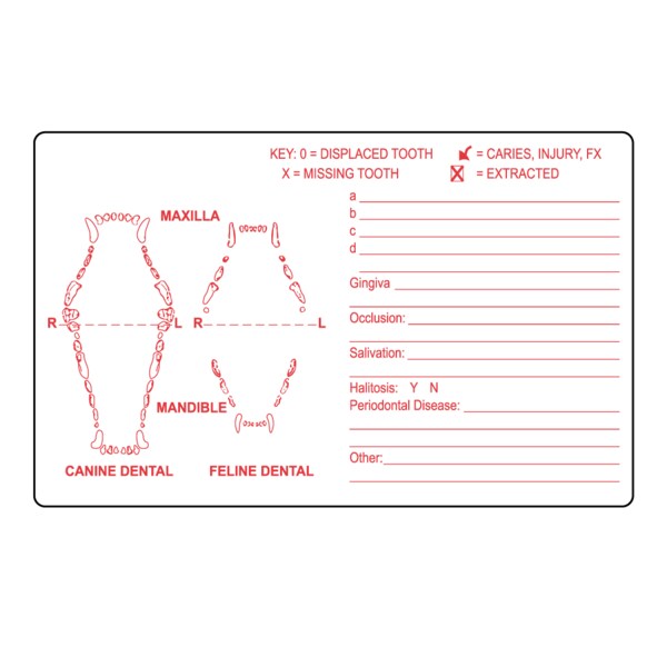 Nevs Dental Label 2-1/2" x 4" White w/Red - VW-0081