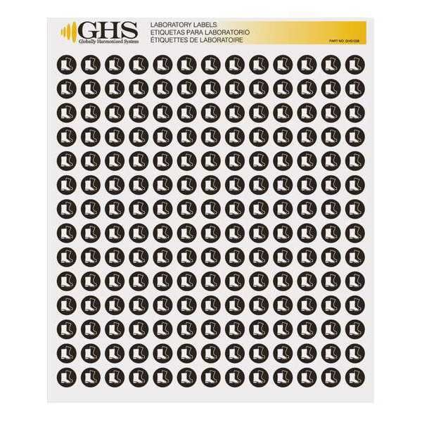 Ghs Safety Label, Boots, Gloss Paper, PK1820 - GHS1238