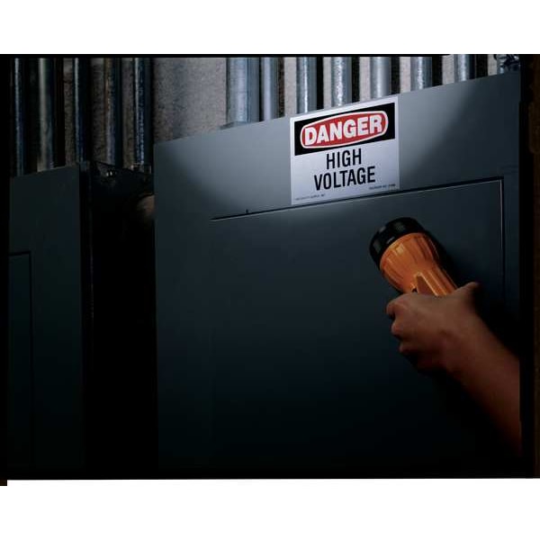 Brady Danger Label, 3-1/2 In. H, 5 In. W, PK8, 27407LS - 27407LS