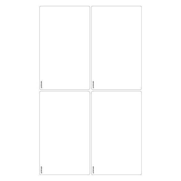 Labelmaster Antistatic Label, 4-1/16 x 6-3/4, PK250 - ASR-35LV47