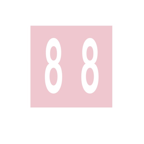 Nevs Ames - Filing Labels - Large - Number 8 1-7/8" x 1-7/8" Pink - XN-AL-LG #8