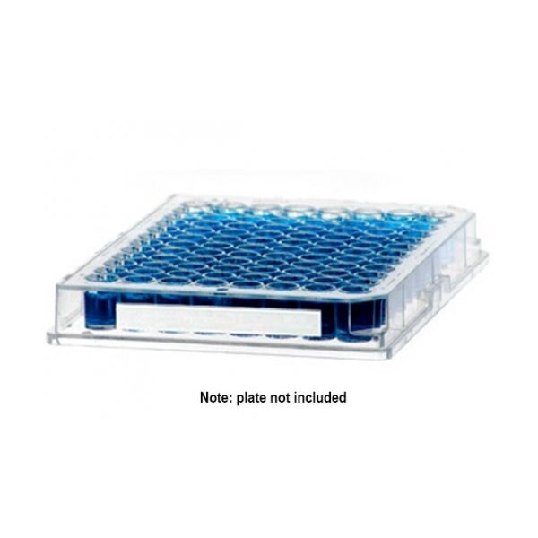 Diversified Biotech DirectThermal Sidewall Cryo-Tag, 1,000/rl, White - 249406