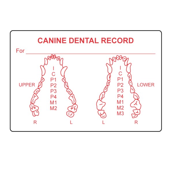 Nevs Canine Dental Label 2" x 3" White w/Red - VW-0062