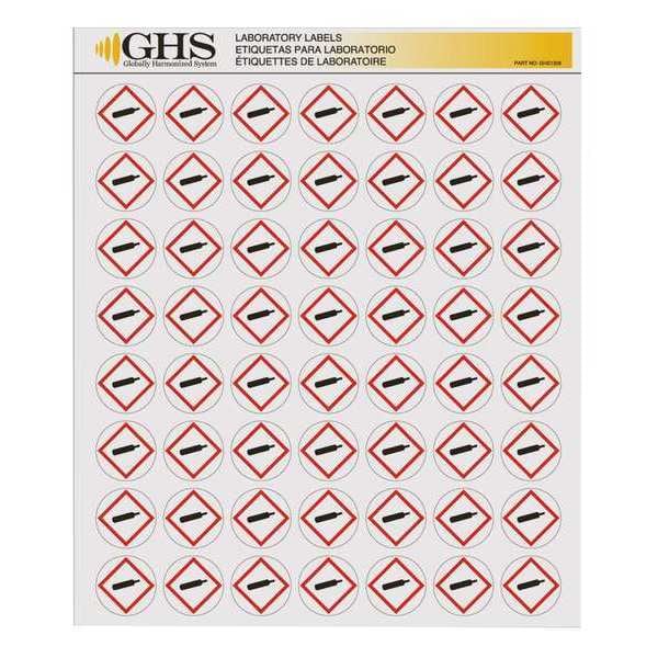 Ghs Safety Label, Gloss Paper, Gas Cylinder, PK1120 - GHS1209