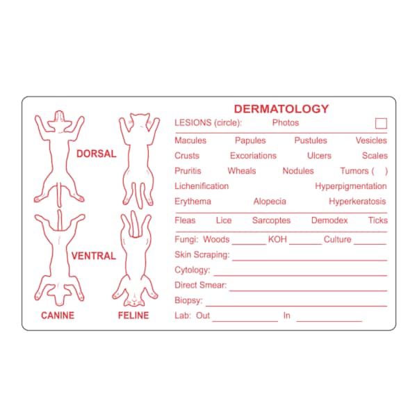 Nevs Dematology Canine Feline Label 2-1/2" x 4" White w/Red - VW-0080