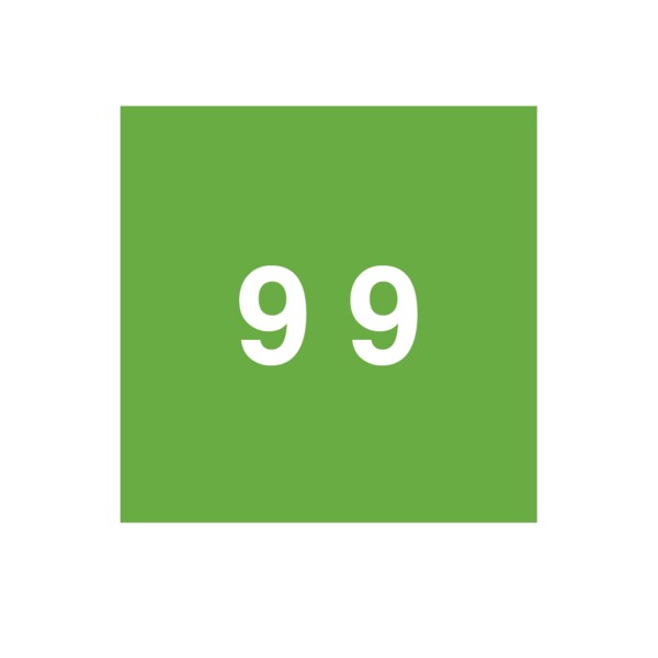Nevs Ames - Filing Labels - Small - Number 9 1-7/8" x 1-7/8" Green - XN-AL-SM #9