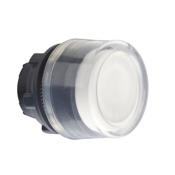 Cabeza para botón de presión no iluminado, Harmony XB5, XB4, blanco en relieve, con protector transparente, 22mm, retorno por resorte, sin marcar - ZB5AP1