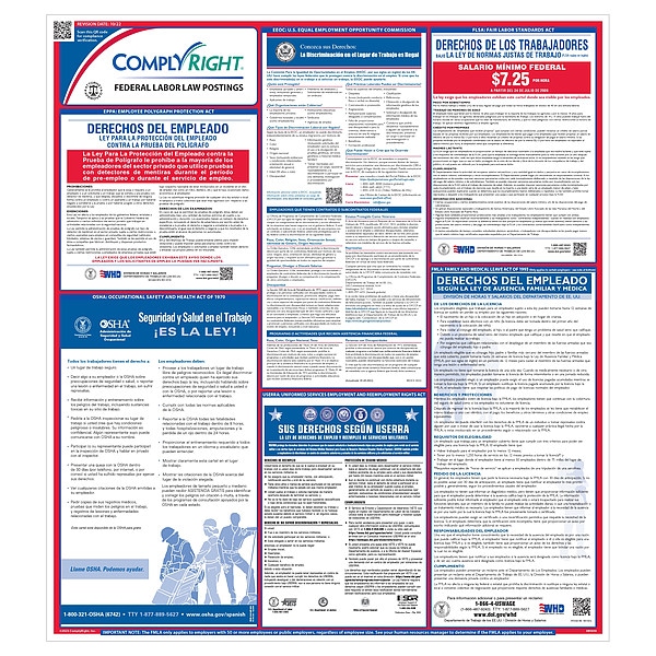Complyright Labor Law Poster, 24 in H x, 32 3/4 in W, Plastic - ERFEDS