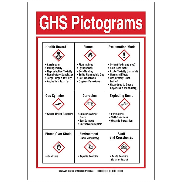 Brady GHS Sign, GHS Picto, 10 in W, 14 in H - 133167