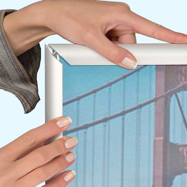 Azar Displays 8.5"x11" Vertical/ Horizontal Snap Frame - Counter/Wall Display, PK10 - 300208-SLV