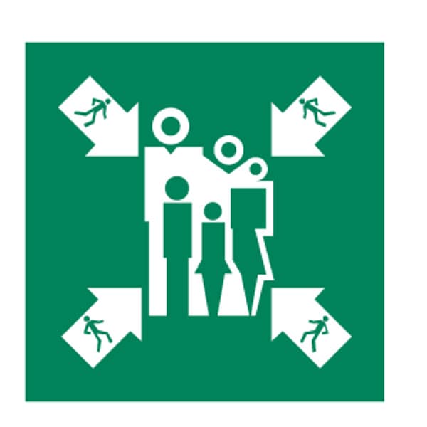 Condor (ASSEMBLY MUSTER STATION SYMBOL), 6 in W x 6 in H, Square, Polycarbonate, 486F75 - 486F75