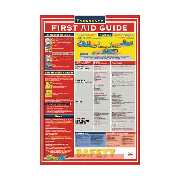 National Marker Co First Aid Guide, 18 in H x, 24 in W, Laminated - PST002