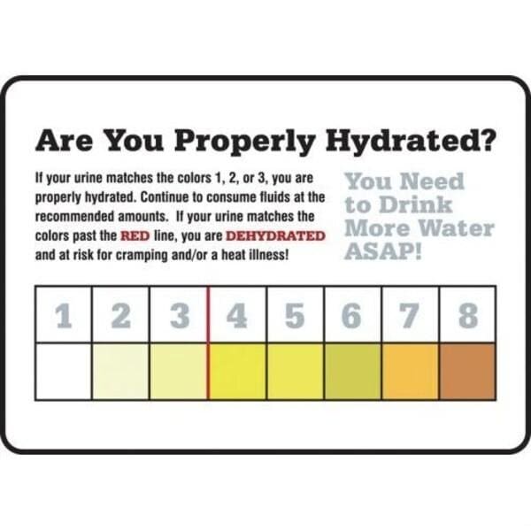 Accuform SAFETY SIGNS ARE YOU PROPERLY MRST533VS - MRST533VS