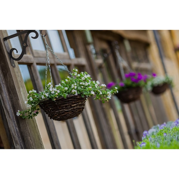 Onward 8 in Outdoor Ornamental Planter Hanger and Shelf Support Bracket with Swivel Hook, Pewter - 493PEW08R