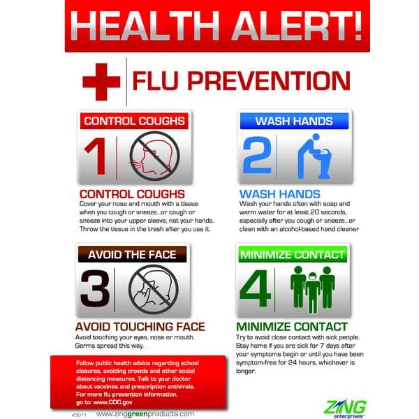 Zing Flu Poster, 22 in H x, 16 in W, Plastic - 5011