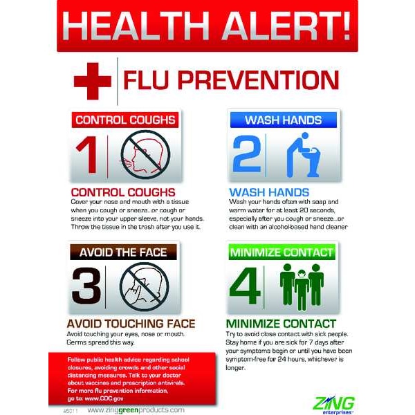 Zing Flu Poster, 22 in H x, 16 in W, Plastic - 5011